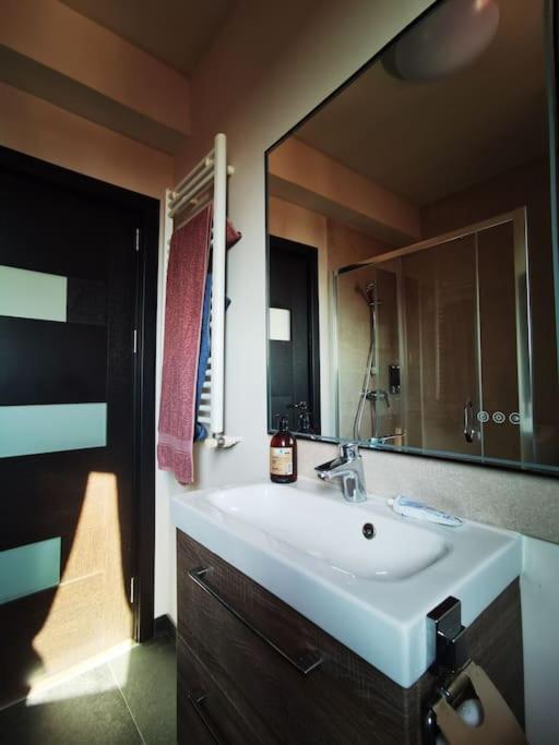 Spacious Luxury With Large Terrace Bucarest