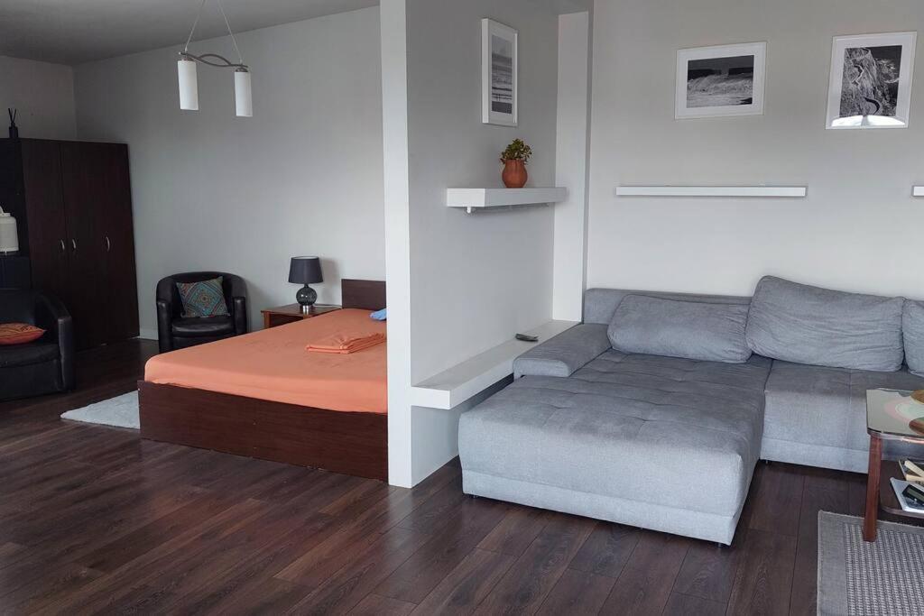 Spacious Luxury With Large Terrace Apartament